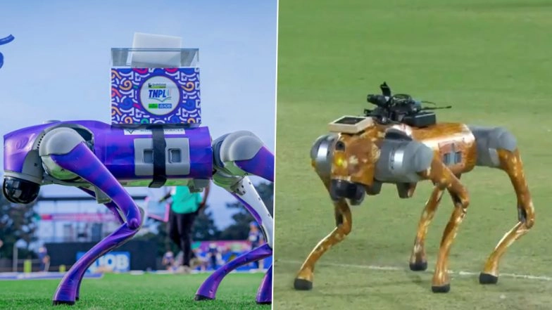 Tamil Nadu Premier League 2025 Unveils 'Champak'-Like Robot Dog, Names Latest Introduction 'Subramani' (See Pic)