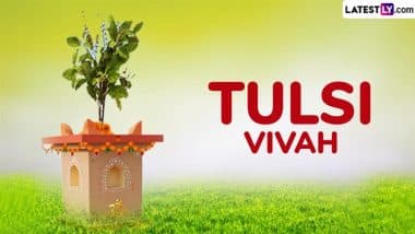 When Is Tulsi Vivah 2025? Know Tulasi Vivah Date, Auspicious Timings, Sacred Legend and Puja Rituals To Mark the Ceremonial Marriage of Tulsi and Lord Vishnu