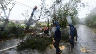 Typhoon Heads for Southern China After Toppling Trees on Hainan Island