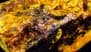 What’s Uranium Enrichment, How Is It Used for Nuclear Bombs? Scientist Explain Amid Concern Over Iran’s Nuclear Program