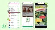 WhatsApp No Longer Ad-Free! Meta-Owned App Introduces Ads in Status, Paid Subscriptions in Channels; Know All About the New Features Exclusive for Updates Tab