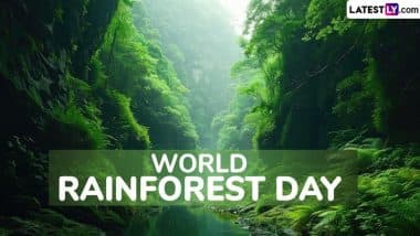Happy World Rainforest Day 2025 Messages To Celebrate the Day 