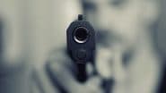 Rajasthan Shocker: Retired BSF Soldier Shoots His Brother-in-Law to Death, Dies by Suicide Over Marital Dispute in Nagaur District