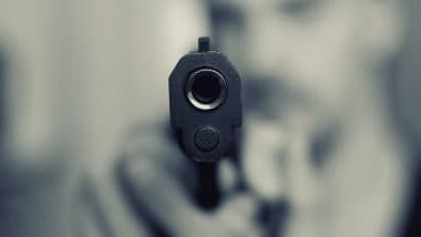Nagaur: Ex-BSF Soldier Kills Brother-in-Law, Dies by Suicide Over Marital Dispute in Rajasthan