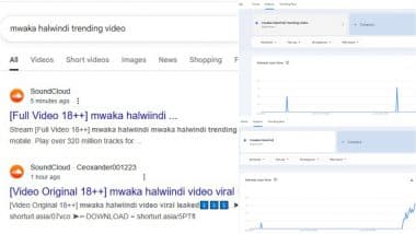 Mwaka Halwiindi Trending Video: Alleged 18+ Leaked Viral Clip of Zambia Influencer Raises Questions on Online Ethics and Privacy