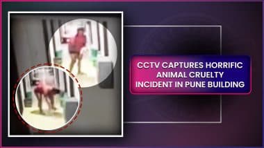 Pune Animal Cruelty Horror: Woman Repeatedly Slams Pet Cat To Ground Before Tossing It Into the Air, Disturbing Video Sparks Outrage