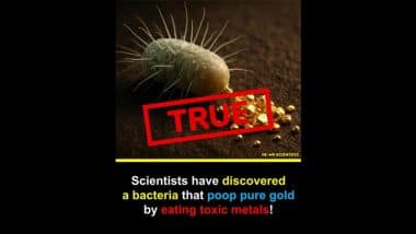 Fact Check: Does Cupriavidus Metallidurans Bacteria Really ‘Poop’ Gold? Here’s What Science Says About the Gold-Making Microbe