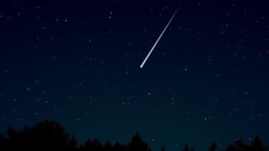Perseid Meteor Shower 2025 Peak Date &amp; Time: When, Where and How To Watch the Spectacular Shooting Stars