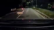 Leopard Attack in Tirupati: Riders Escape Narrowly After Big Cat Suddenly Pounces on Moving Bike in Andhra Pradesh, Chilling Video Surfaces