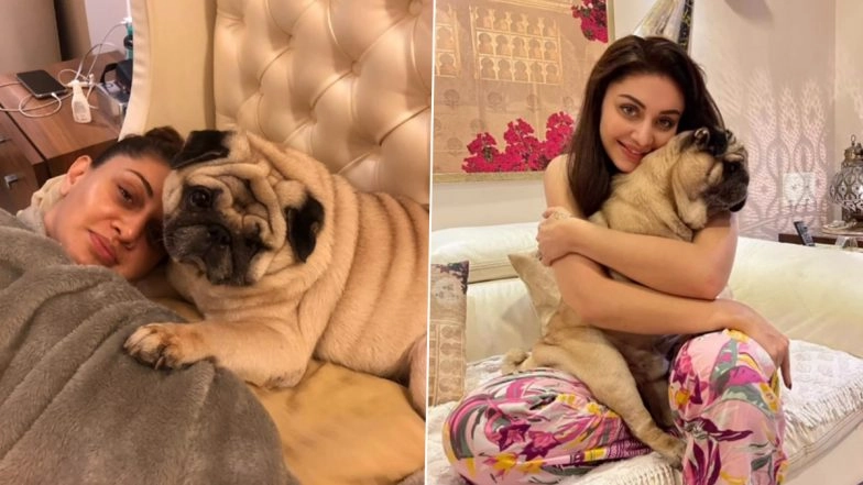 Parag Tyagi Shares Pet Dog Simba’s Heartfelt Letter to ‘Mom’ Shefali Jariwala