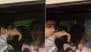 ‘Yeh Toh Coldplay Moment Ho Gaya!’: Netizens React As Ex-Lovers Abhishek Kumar and Isha Malviya Hide Their Faces After Being Clicked Together (Watch Video)