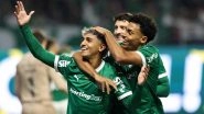 Palmeiras 1-0 Gremio, Brazilian Serie A 2025: Facundo Torres Finds Net As  Verdao Notch Up 300th League Win At Home