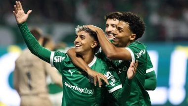 Palmeiras 1-0 Gremio, Brazilian Serie A 2025: Facundo Torres Finds Net As  Verdao Notch Up 300th League Win At Home