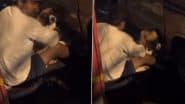 Mumbai Horror: Police Refuse To Act After Man Caught on Camera Sexually Assaulting Female Stray Dog Behind Parked Car in Jogeshwari (Disturbing Video)