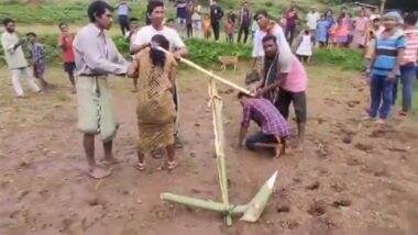 Odisha Shocker: Couple Forced to Plough Field in Rayagada for ‘Taboo’ Marriage, Video Goes Viral