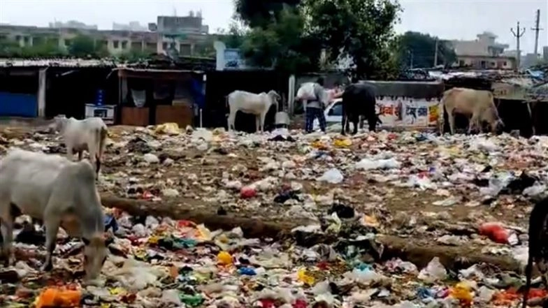 Have Maids and Cooks Vanished From Gurgaon? Is Police Crackdown on Suspected Illegal Bangladeshis the Reason Behind Workers and Sanitation Staff Exodus From Gurugram Societies?