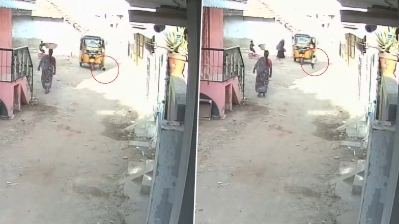 Tamil Nadu Road Accident: 3-Year-Old Girl Dies After Being Run Over by Auto-Rickshaw While Playing Outside Her Home in Ramanathapuram, CCTV Video Surfaces