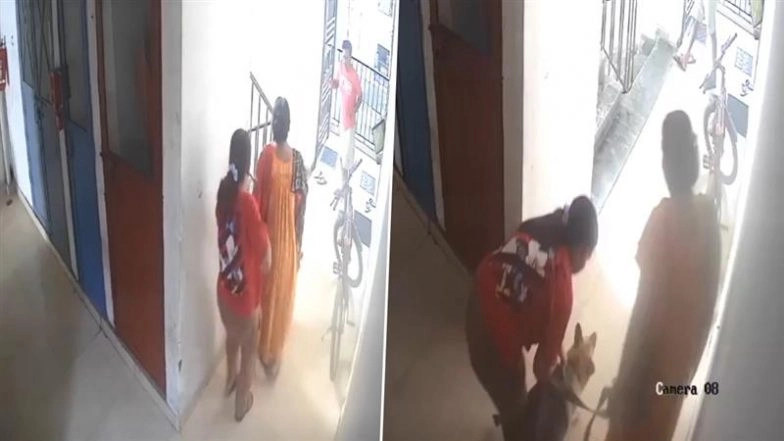 Dog Attack in Greater Noida: Pet German Shepherd Attacks Man Climbing Down Stairs Panchsheel Greens 1 Society, Video Surfaces