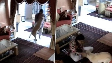 Animal Cruelty in Jaipur: House Help Brutally Thrashes Pet Dog, Seen Picking It Up and Slamming on Ground in Rajasthan; Shocking Video Surfaces