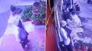 Spit-Gate in Lucknow: Milkman Caught on CCTV Spitting in Milk in Uttar Pradesh, Probe Launched After Video Goes Viral