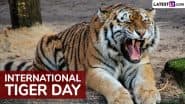 International Tiger Day 2025 Date: Know History and Significance of the Day That Highlights the Urgent Need To Protect and Conserve Tiger Population