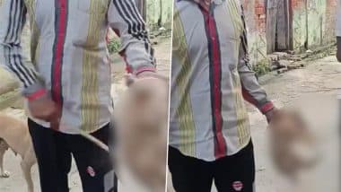 Animal Cruelty in Amroha: Man Brutally Beats Puppy With Stick in Front of Its Mother in UP, Arrested After Video Goes Viral
