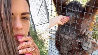 Russian Boxer Anastasia Luchkina Hands Vape to Orangutan at Taigan Safari Park in Crimea; Ape Falls Sick, Lies Motionless (Watch Video)