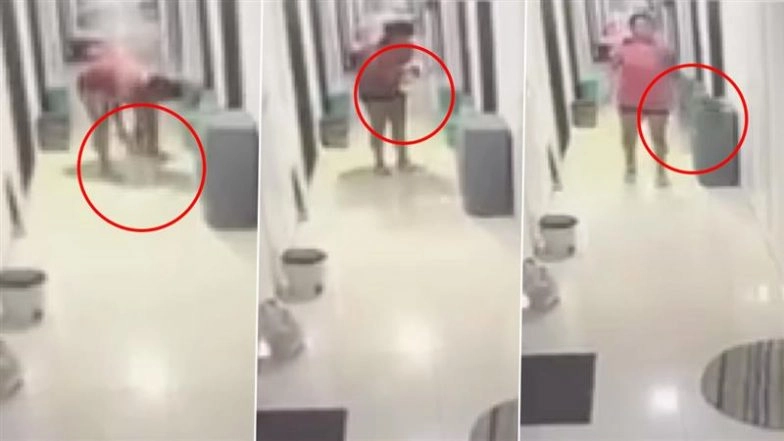 Pune Horror: Woman Brutally Slams Pet Cat on Floor, Tosses It in Air; Authorities Detain Accused After Disturbing Video Goes Viral