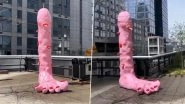 Penis-Shaped &lsquo;Foot Fountain&rsquo; in NYC Street Leaves Visitors Bewildered! Viral Video Shows Bizarre Pink Sculpture That Squirts Water Out of the Tip and Drenches Visitors (Watch)