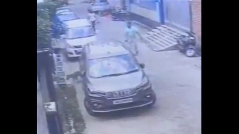 Bijnor Shocker: Retired PWD Engineer Fires 4 Bullets at Stray Dog for Barking in UP, Arrested After Video Goes Viral