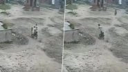 Bihar Shocker: Girl Abducted in Broad Daylight by Youth on Bike in Darbhanga; Rescued After 19 Hours, Accused Arrested (Watch Video)