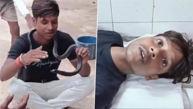 Reel Turns Into Nightmare in Auraiya: Man Bitten by Snake While Shooting Instagram Video, Rushed to Hospital (Watch)