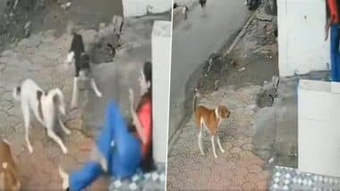 Dog Attack in Indore: 4 Stray Dogs Knock Down and Bite Student on Way to Exam in Shri Nagar Extension, Disturbing Video Surfaces