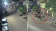 Bhilai Accident Caught on Camera: Youth Dies, Friend Injured After Scooter Loses Control, Plunges Into Drain While Trying to Avoid Street Dog; Video Goes Viral