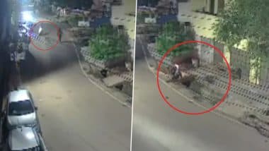 Bhilai Accident Caught on Camera: Youth Dies, Friend Injured After Scooter Loses Control, Plunges Into Drain While Trying to Avoid Street Dog; Video Goes Viral
