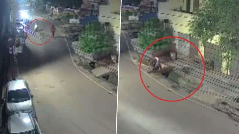 Bhilai Accident Caught on Camera: Youth Dies, Friend Injured After Scooter Loses Control, Plunges Into Drain While Trying to Avoid Street Dog; Video Goes Viral