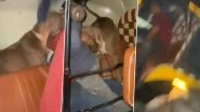 Dog Attack in Mumbai: Man Booked for Deliberately Unleashing Pet Dog on Minor Boy in Auto-Rickshaw; Laughs in Viral Video