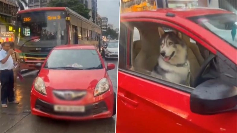 Andheri: Car Parked in Middle of Lokhandwala Market Road Triggers Traffic Jam, Dog Found on Driver’s Seat (Watch Video)