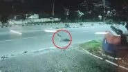 Leopard Spotted in Hyderabad: Big Cat Seen Crossing Road Near Golconda Military Area in Ibrahim Bagh, CCTV Video Surfaces
