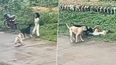 Hubballi Dog Attack: 3-Year-Old Girl Mauled by 2 Stray Dogs on Street, Dragged and Bitten As She Screams for Help; Disturbing Video Surfaces
