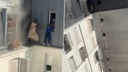 Heroic Act Caught on Camera in Paris: School Caretaker Balances on Ledge to Rescue 6 People, Including Minors, From Burning Apartment Building; Video Goes Viral