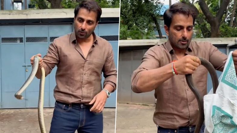 Sonu Sood Saves Snake, Shares Safety Advice