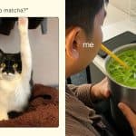 Matcha Supplies Are Running Out As Demand Surges: Funny Memes and Viral Instagram Reels Capture the Craze Around the Green Beverage