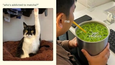 Matcha Supplies Are Running Out As Demand Surges: Funny Memes and Viral Instagram Reels Capture the Craze Around the Green Beverage