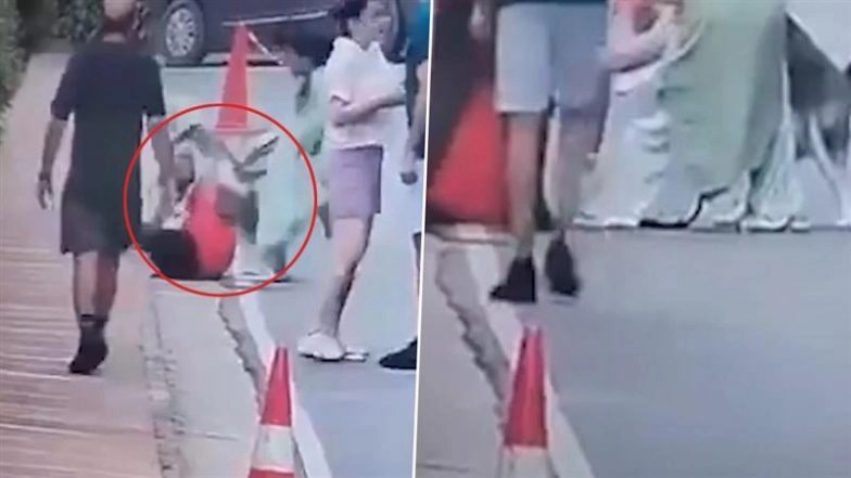 Dog Attack in Gurugram: Leashed Pet Husky Mauls Woman During Morning Walk Inside Society, Shocking Video Surfaces