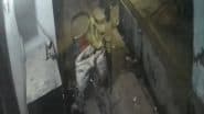 Theft Caught on Camera in Bareilly: Ashtadhatu Radha-Krishna Idol Stolen From Temple by Rickshaw-Borne Thief in UP; Police Launch Probe As Video Goes Viral
