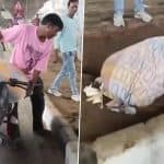 ‘Sada Aam Hai’: 2 Men on Bike Dump Woman’s Body in Sack Near Ludhiana’s Aarti Chowk, Flee Leaving Vehicle Behind After Roadside Vendors Question Them; Probe On (Watch Video)