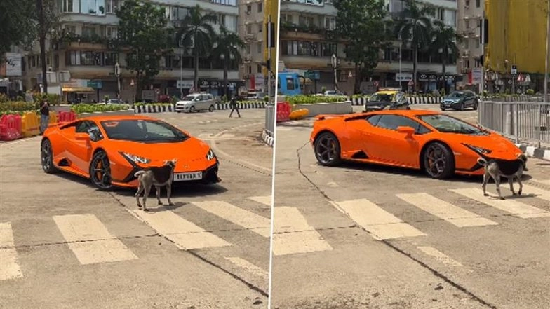 Dog vs Lamborghini: Street Dog Blocks Lamborghini, Refuses To Let Sports Car Pass in Mumbai; Hilarious Video Goes Viral