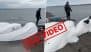 Did Animals Predict Earthquake in Russia? Fact Check Debunks Viral Claim That 5 Beluga Whales Washed Ashore Before Kamchatka Quake; Old Video Shared With False Context