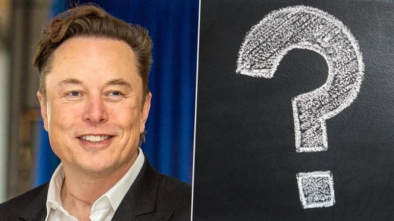 Vine Coming Back on X? Elon Musk Says Working on New Way To Make Creative Viral Videos Fast, Likely To Rival Instagram